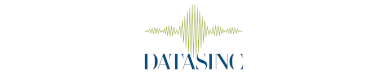 DATASINC SRL