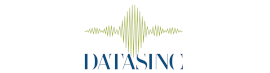 DATASINC SRL